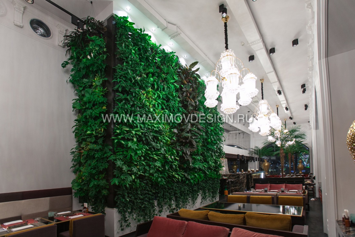 Maximov Design, вертикальная зеленая стена